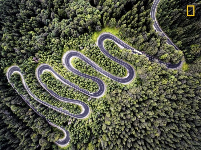 «Красота земная»: 15 лучших работ ежегодного фотоконкурса National Geographic, посвящённого дикой природе