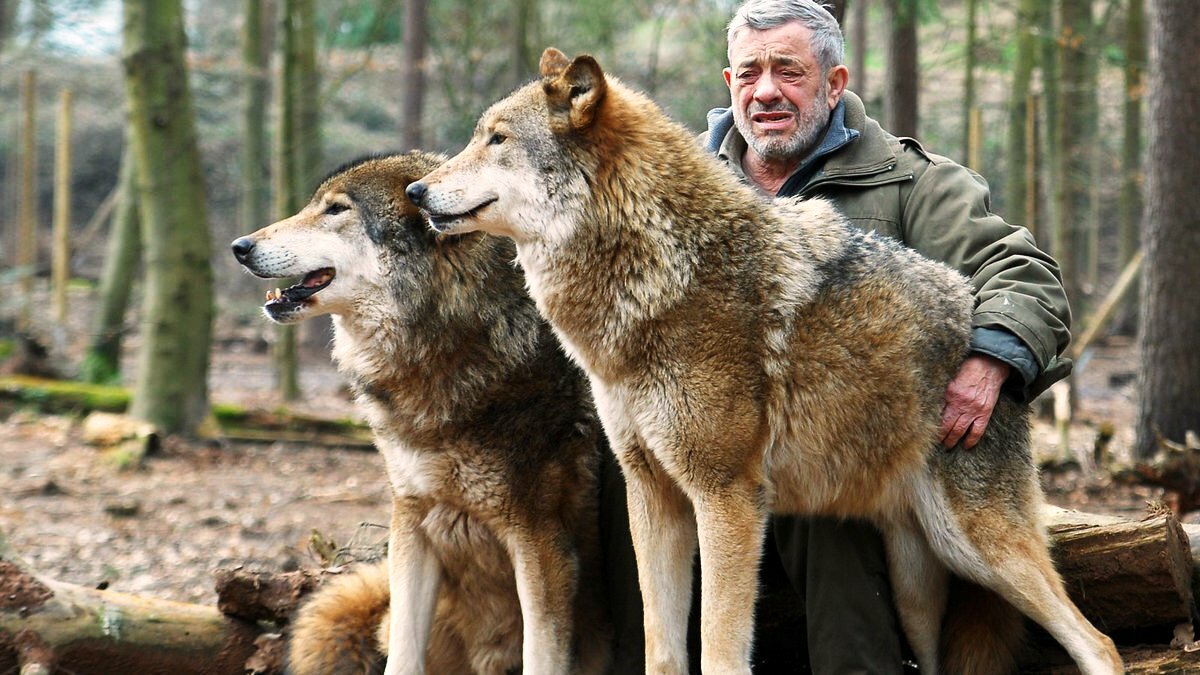 Вернер Фройнд жизнь с волками
