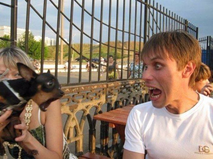 Веселые картинки и фото приколы для настроения (12 фото) Веселые картинки и фото приколы для настроения (12 фото)