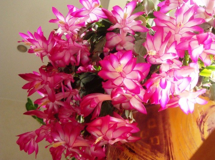 http://fs6.familyspace.ru/images/photo/71/7120/71200796/p_a5704c44.jpg