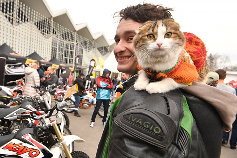 Кошка-байкерша удивила участников "Мотовесны" в Сокольниках