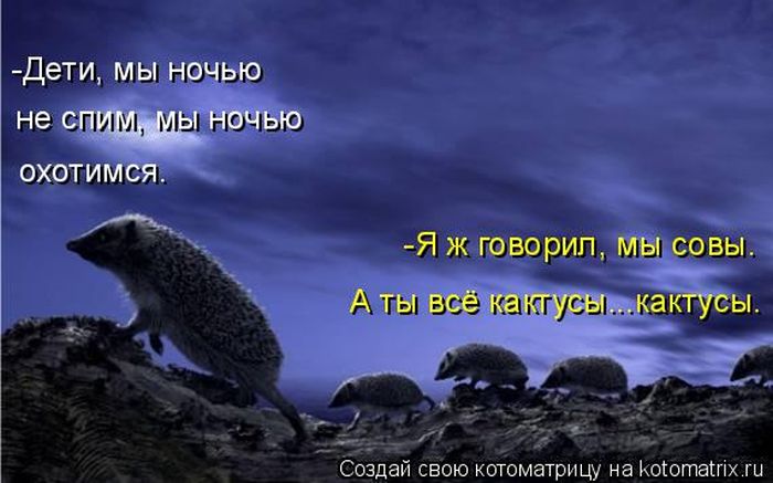 Забавные животные (50 фото) Забавные животные (50 фото)