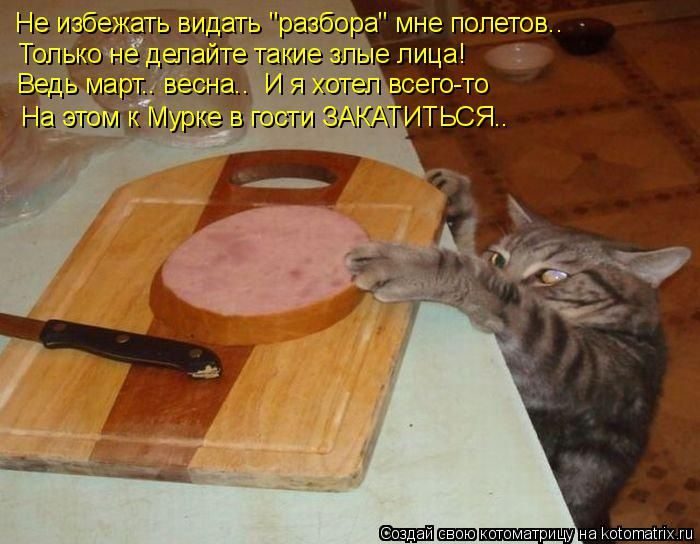 Лучшие котоматрицы, которые зарядят вас позитивом) Лучшие котоматрицы, которые зарядят вас позитивом)