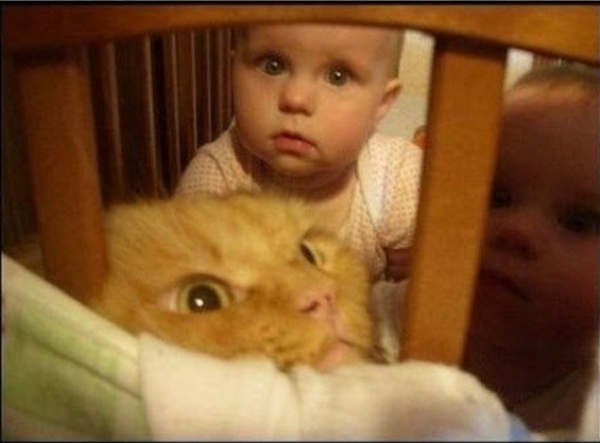 8923310-R3L8T8D-600-cat