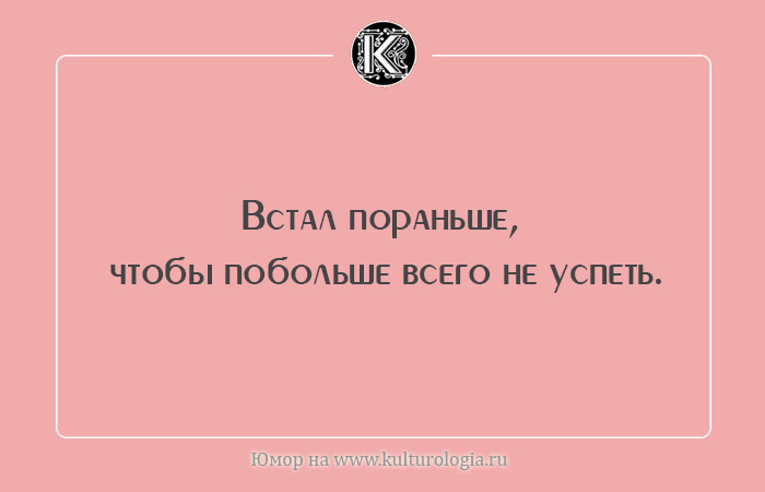 смешные картинки о смысле жизни онлайн смешные картинки о смысле жизни