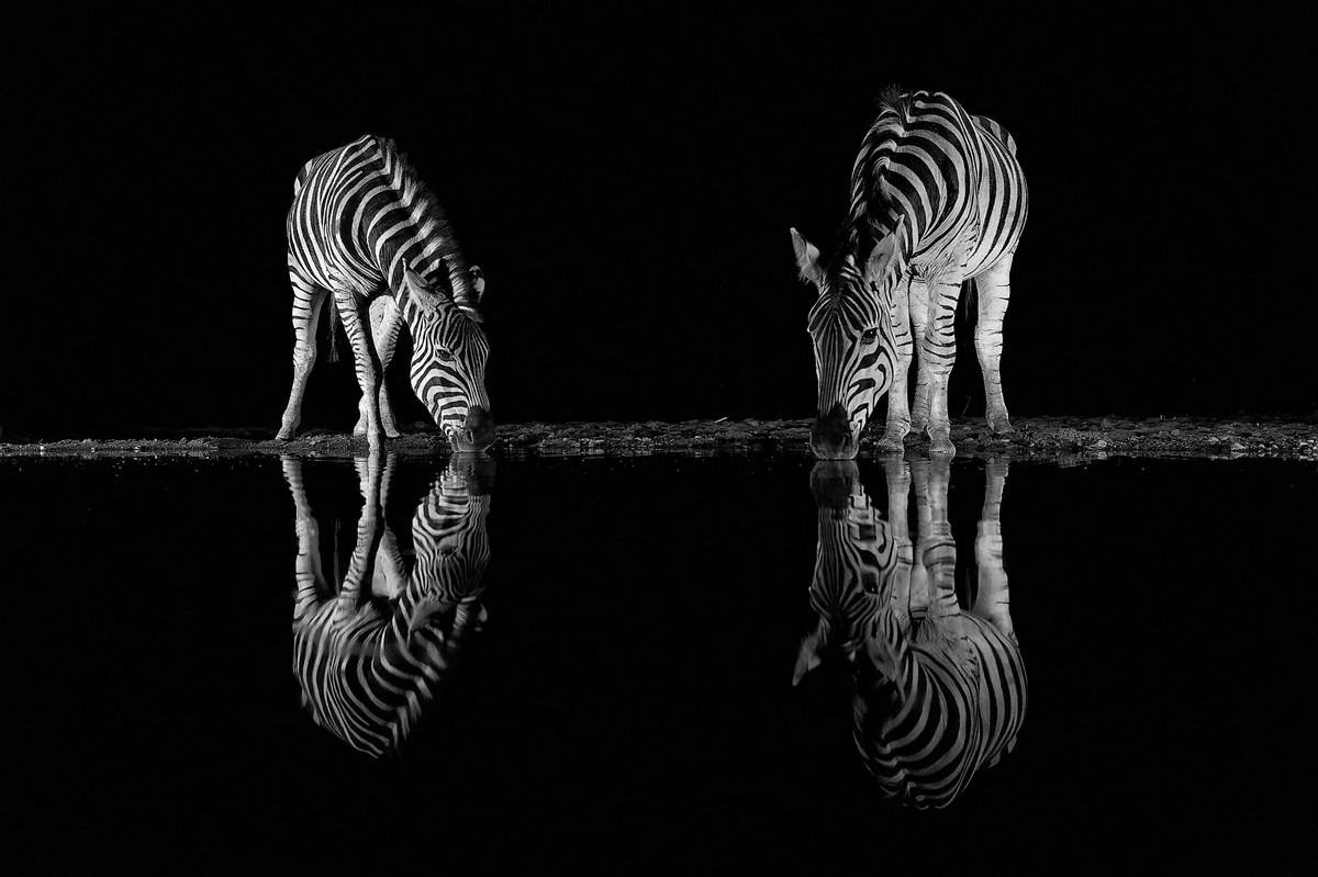 ФОТОЛИКБЕЗ. Фотоконкурс Siena International Photography Awards ФОТОЛИКБЕЗ. Фотоконкурс Siena International Photography Awards