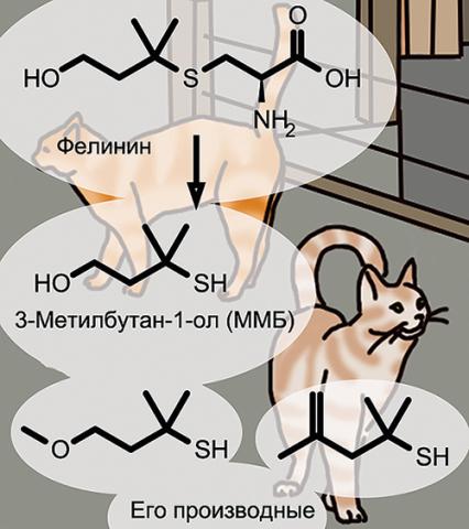 Девять запахов весны. Из чего состоят наши любимые ароматы Девять запахов весны. Из чего состоят наши любимые ароматы