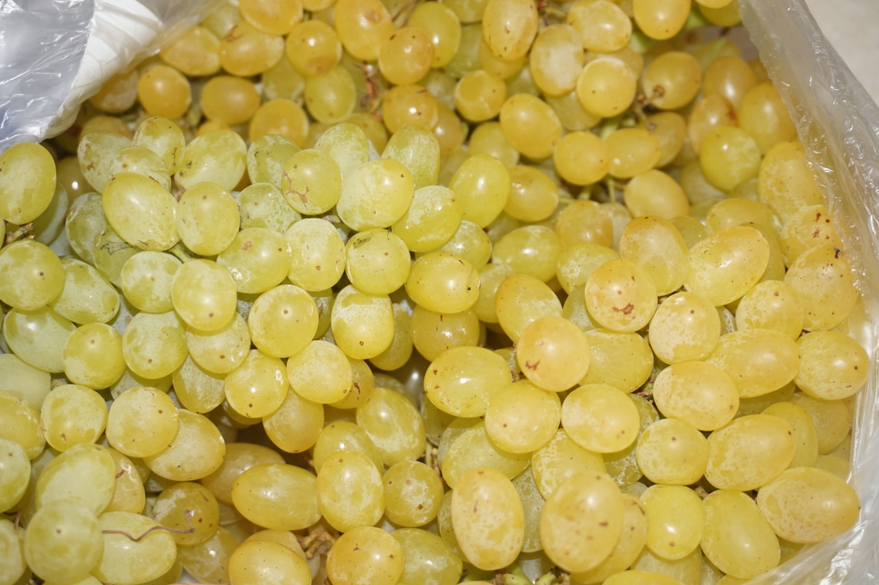 Вишня маринованная Вишня маринованная
