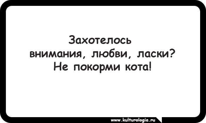 15 открыток, которые будут близки и понятны поклонникам котиков