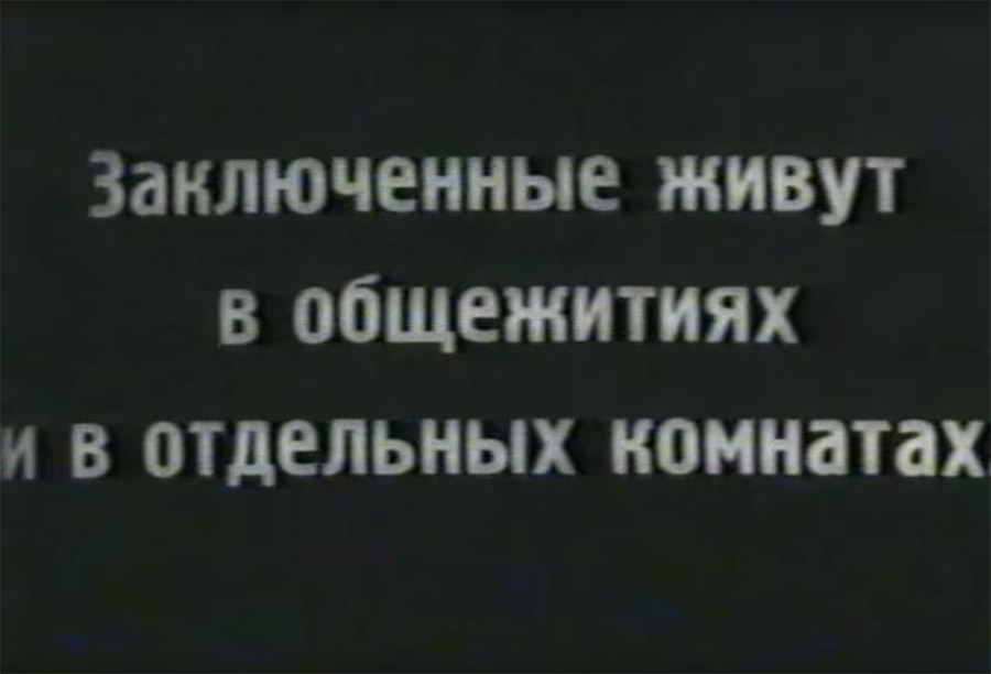 Как советским гражданам врали про концлагеря.