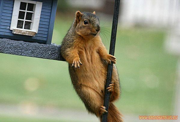 Давайте улыбаться вместе! :) (28поводов)