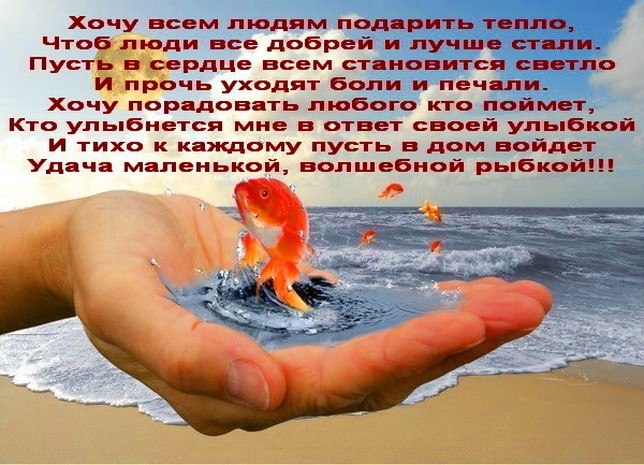 Ушёл любимый? Пора начать новую жизнь! Ушёл любимый? Пора начать новую жизнь!