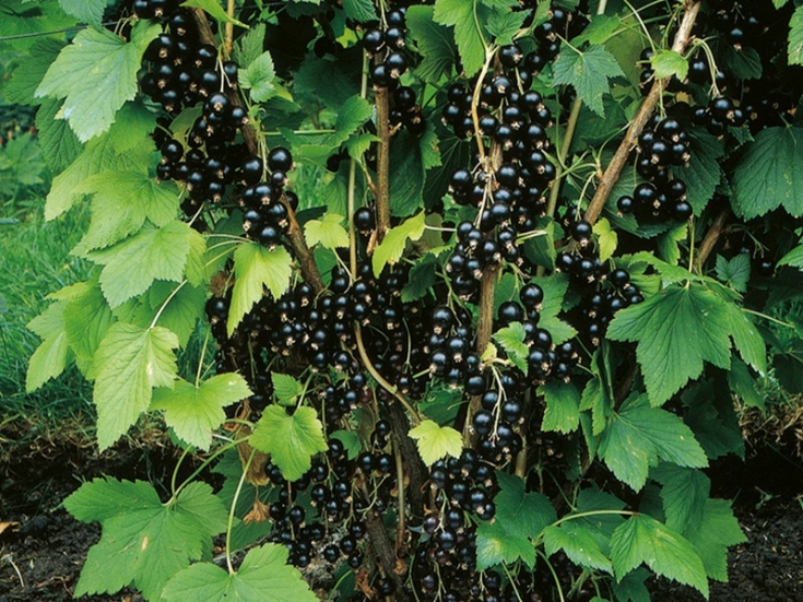 ������� � �������� ������ � ���. ��� ��������� �� ������ ���������� ������