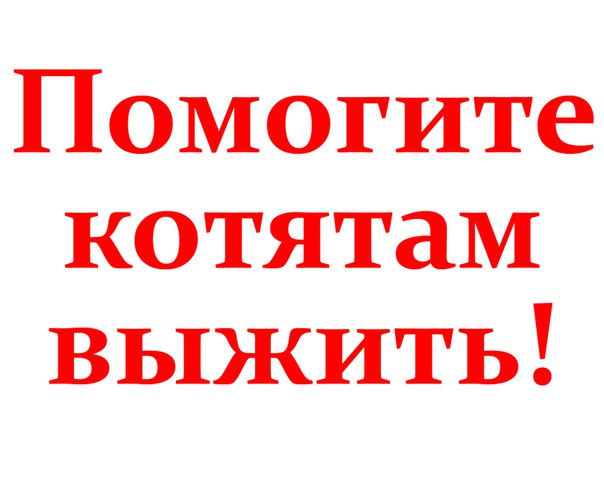 Помогите! Их счёт идёт на дни, часы, минуты...