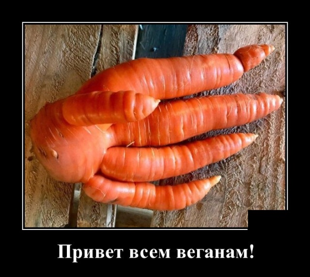 Забавные и новые демотиваторы. 547 ( 30 фото ) Забавные и новые демотиваторы. 547 ( 30 фото )
