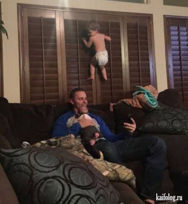 Чудо в перьях (45 фото) Чудо в перьях (45 фото)