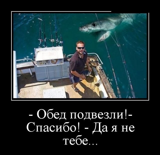 Демотиваторы (30 фото) Демотиваторы (30 фото)