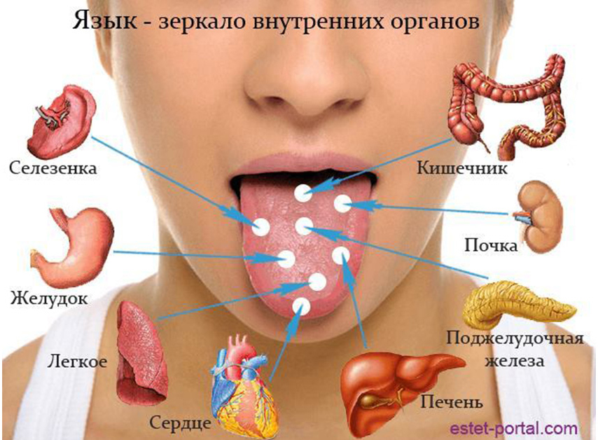 Проверьте себя! Язык расскажет о проблемах в организме