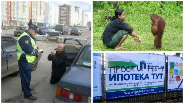 Этот пост о том, как правильно просить прощения Этот пост о том, как правильно просить прощения