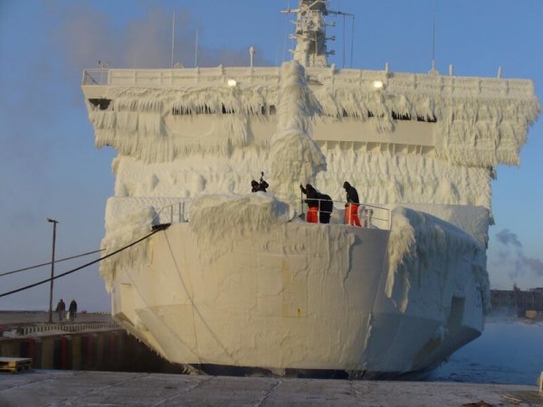 30 фото о жизни и смерти коней моря 30 фото о жизни и смерти коней моря