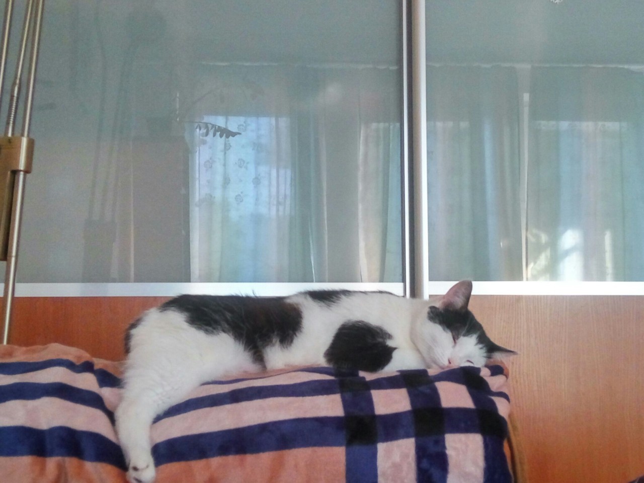 Я стала другом для Кота... Я стала другом для Кота...