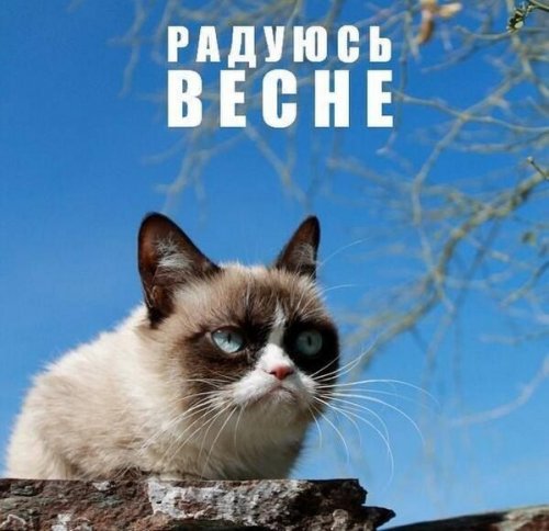 Прикольные картинки пятницы (35 шт) Прикольные картинки пятницы (35 шт)