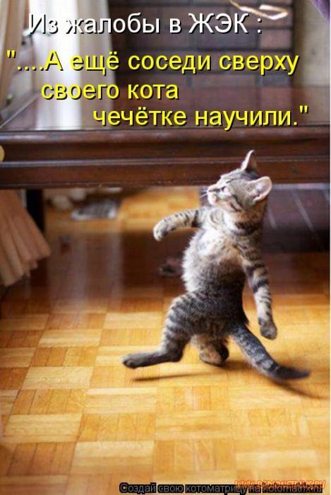 Котоматрицы великолепные, каждая с кусочком позитива и хорошего настроения!!! Котоматрицы великолепные, каждая с кусочком позитива и хорошего настроения!!!