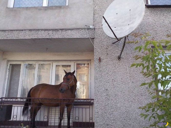 Всё о балконах Всё о балконах