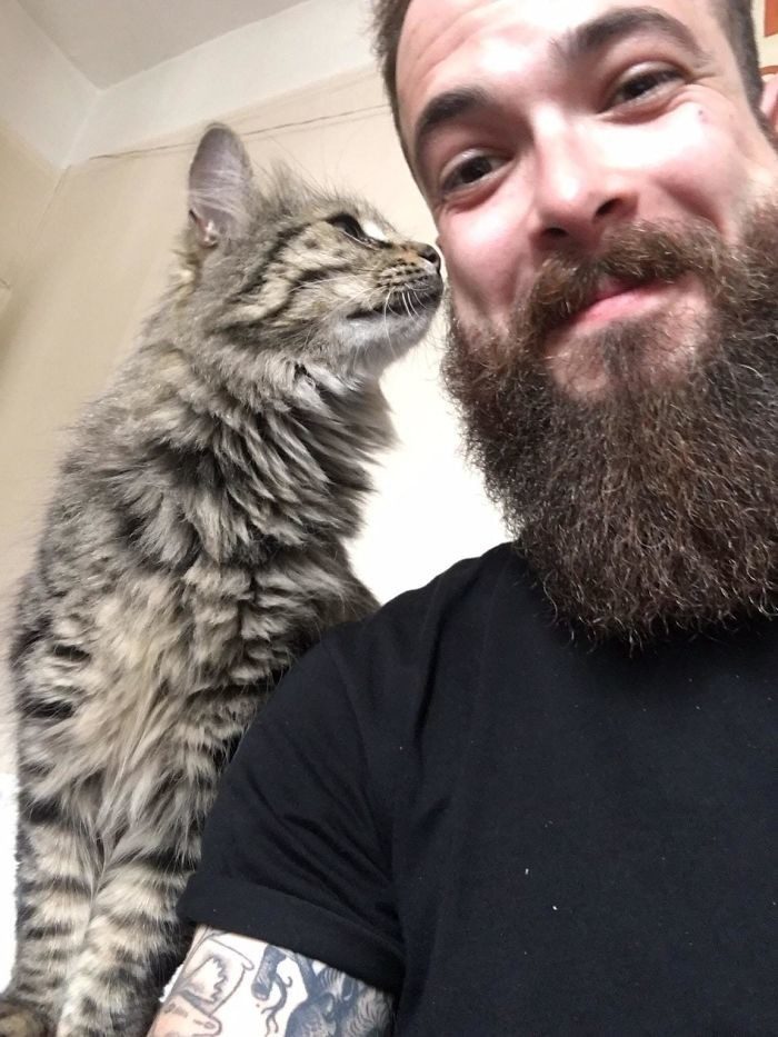 Коты сами нашли себе хозяев