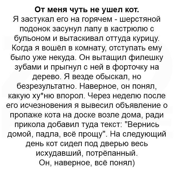 Смешные комментарии из соц. сетей Смешные комментарии из соц. сетей веселье в соцсетях, ну и баянчики, юмор