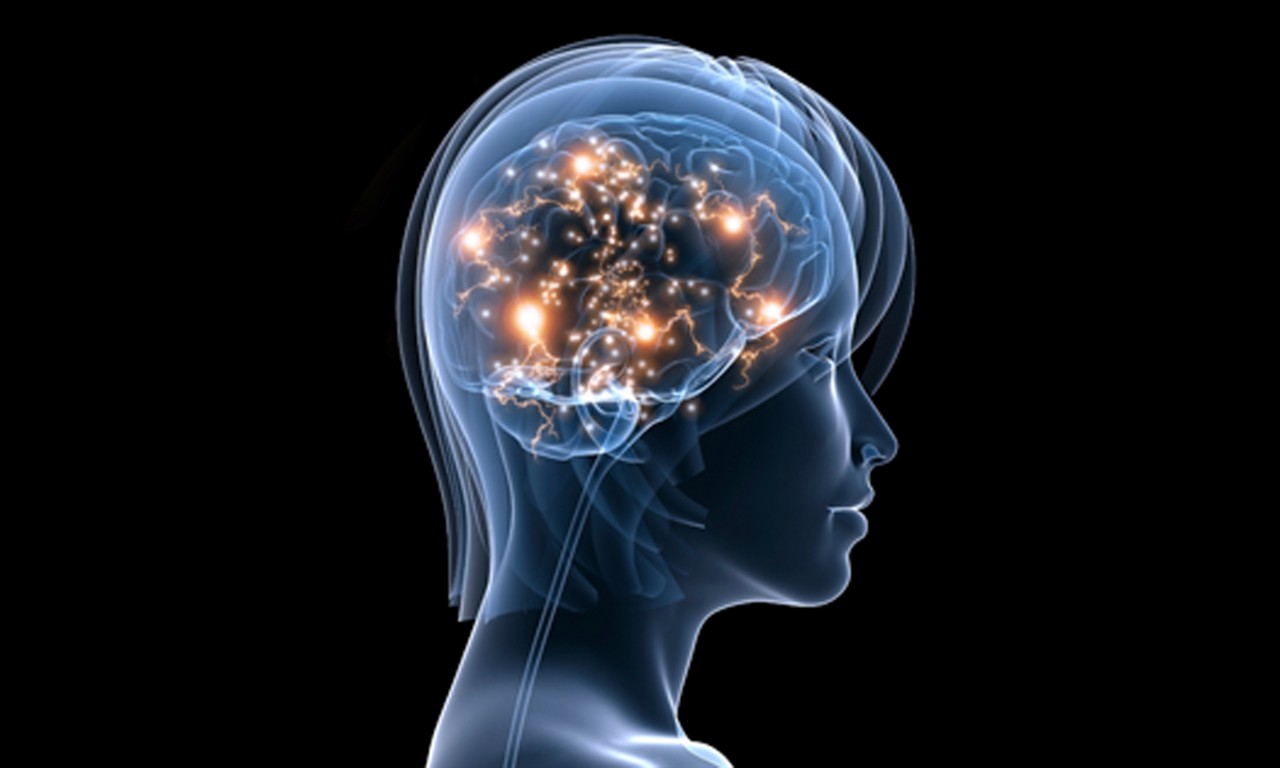 http://psifactor.info/wp-content/uploads/2016/12/iStock_Active-Brain-Resized_v1.jpg