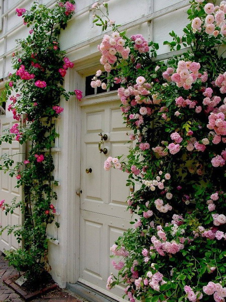 4497432_rosesingardenentrance1 (450x600, 136Kb)