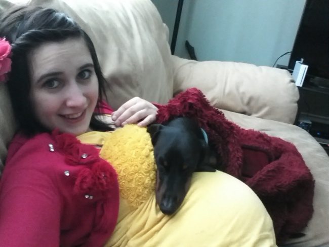 Как питомцы ждут появления малышей