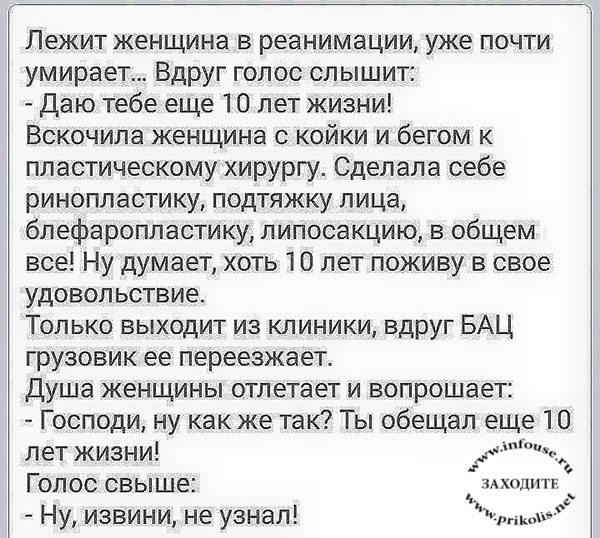 Смешные и прикольные короткие истории