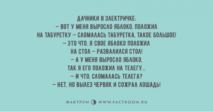 Топ 10 крутых анекдотов, над которыми нельзя не похихикать с друзьями Топ 10 крутых анекдотов, над которыми нельзя не похихикать с друзьями