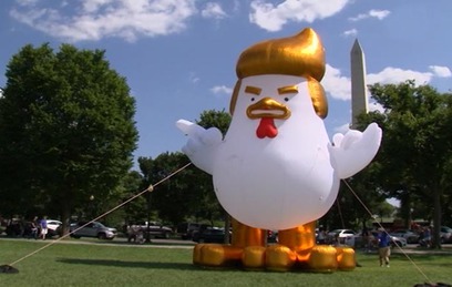 Надувная курица-Трамп появилась перед Белым домом. Видео Надувная курица-Трамп появилась перед Белым домом. Видео