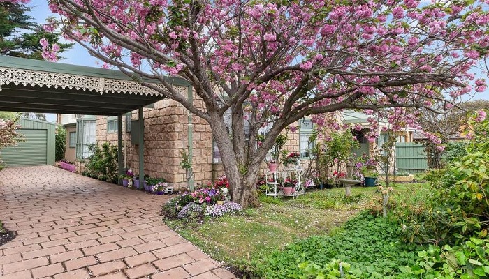 Цветы на дереве тоже розовые! | Фото: realestate.com.au. Цветы на дереве тоже розовые! | Фото: realestate.com.au.