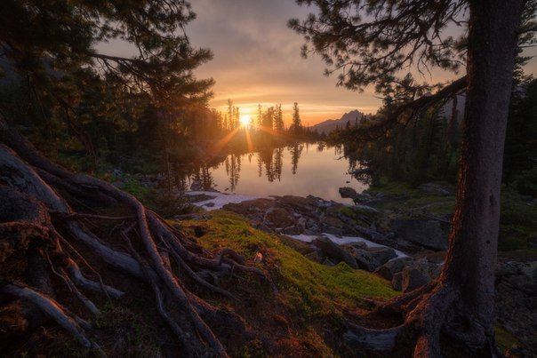 Природа России 5 Природа России 5
