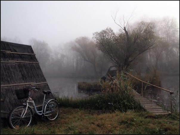 Фото Живая Земля.