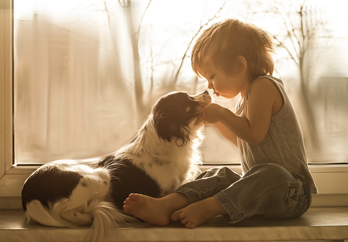 Ребенок и собака. Фото: 1zoom.me