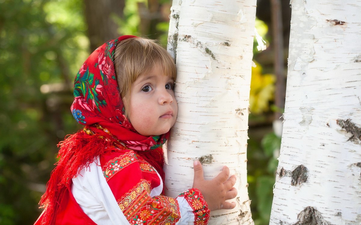 Целебная сила дерева. Как деревья нас лечат