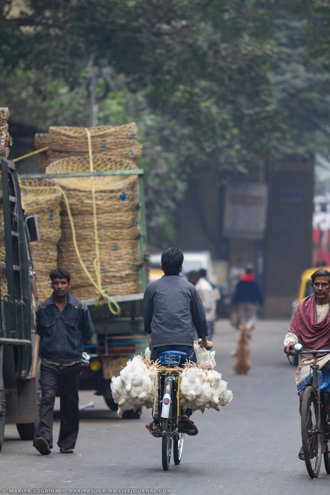 Mariya Sogrina Good Bye Calcutta-16 Mariya Sogrina Good Bye Calcutta-16