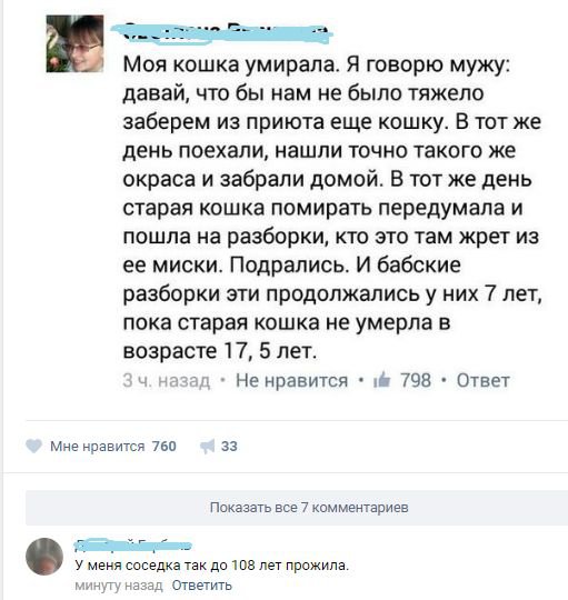 Фотоподборка субботы (103 фото) Фотоподборка субботы (103 фото)