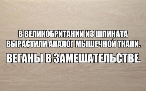 Прикольные картинки среды (39 шт) Прикольные картинки среды (39 шт)