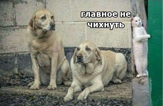 Мимимишности пост)