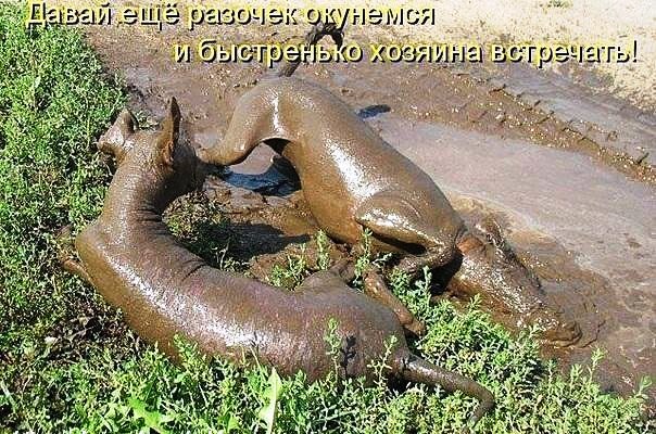 Заговор двоих