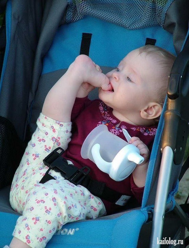 Чудо в перьях (45 фото) Чудо в перьях (45 фото)