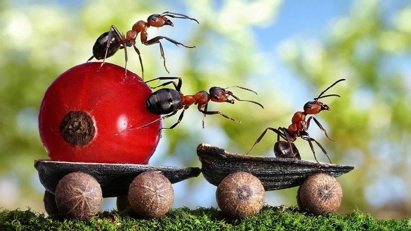 Мы им не интересны Мы им не интересны Пришельцы, вселенная, инопланетяне, интересное, космос