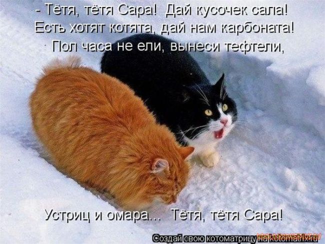 Котоматрицы великолепные, каждая с кусочком позитива и хорошего настроения!!! Котоматрицы великолепные, каждая с кусочком позитива и хорошего настроения!!!