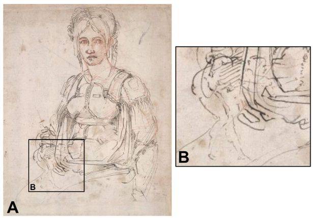 Тайный автопортрет Микеланджело нашли на одном из его знаменитых рисунков